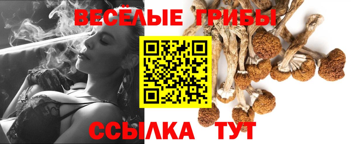 Псилоцибиновые грибы Cubensis  Вход с VPN  Кумертау 