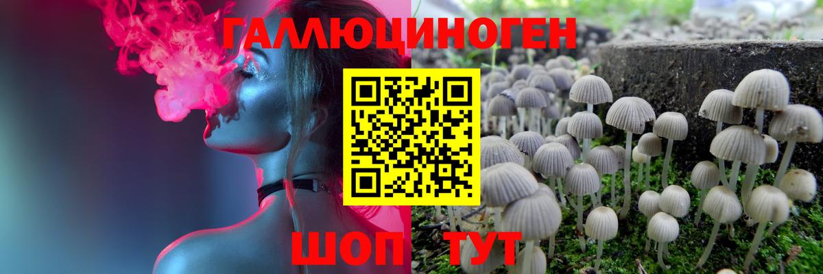 Псилоцибиновые грибы Кумертау