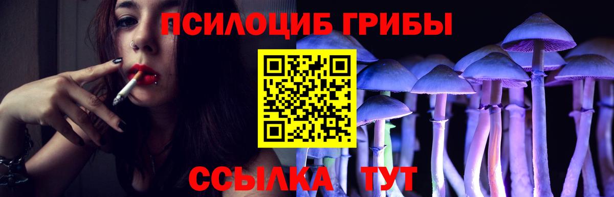 Псилоцибиновые грибы прущие грибы Кумертау